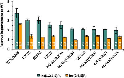 Evolution of E. coli Phytase Toward Improved Hydrolysis of Inositol Tetraphosphate